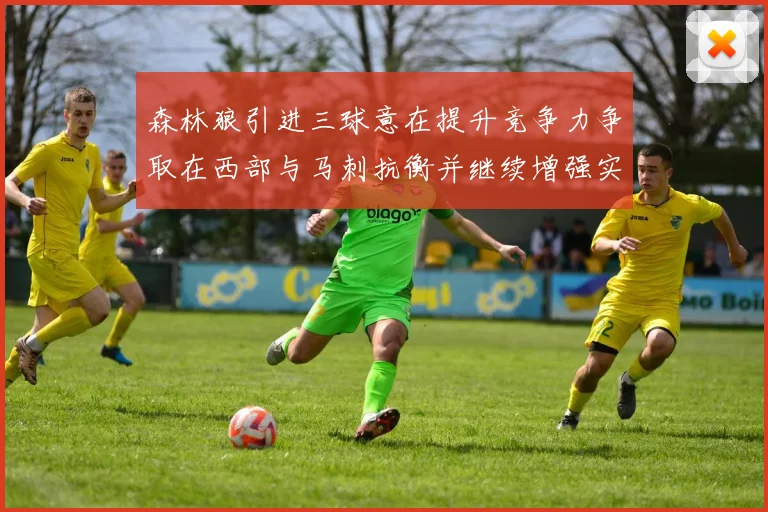 森林狼引进三球意在提升竞争力争取在西部与马刺抗衡并继续增强实力